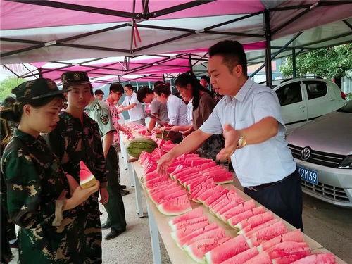 部队里的吃瓜群众,揭秘部队里的八卦风云