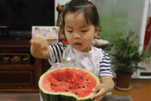 让吃瓜群众们大吃一惊,震惊！吃瓜群众们目睹的惊人真相