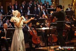 看音乐会吃瓜群众,音乐盛宴中的“吃瓜”众生相