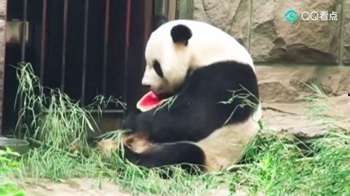 吃瓜群众胖了吗,吃瓜群众体重变化大揭秘