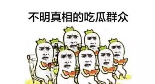 吃瓜群众喵,揭秘娱乐圈那些事儿