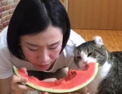 吃瓜群众喵,揭秘娱乐圈那些事儿