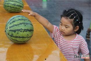 吃瓜群众的宝贝,揭秘吃瓜群众的甜蜜生活