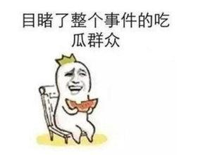 吃瓜群众的搞笑日常图片,吃瓜群众欢乐日常大盘点