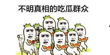 吃瓜群众新手小白上路小说,一场爆笑的美食冒险之旅