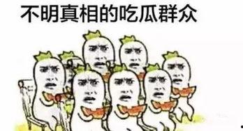 啥都懂一点的吃瓜群众,吃瓜群众眼中的明星幕后故事