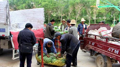 永年朱庄吃瓜群众是谁,揭秘永年朱庄“吃瓜群众”背后的故事