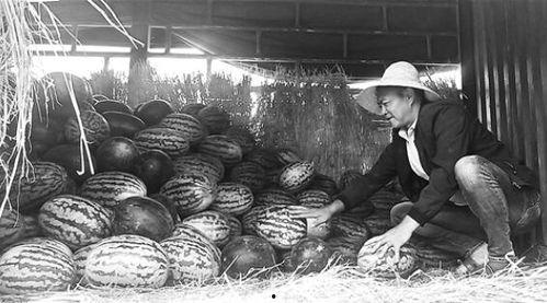 盂县吃瓜群众,揭秘当地独特民俗风情