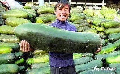 美国吃瓜群众排座,排座背后的社交法则与身份认同