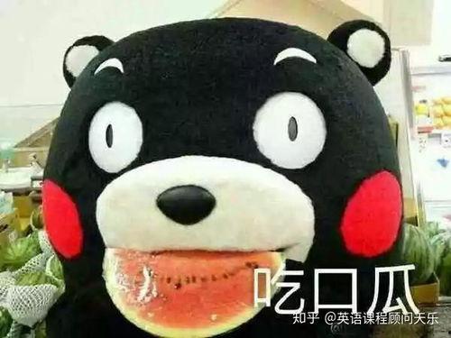 倔强的吃瓜群众怎么形容,揭秘网络舆论场的独特力量