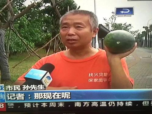 化州吃瓜群众事件,一场网络舆论的风暴与反思