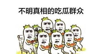 蠢吃瓜群众,网络时代的迷思与反思