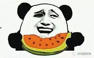 卡牌大师吃瓜群众,吃瓜群众眼中的奇幻之旅