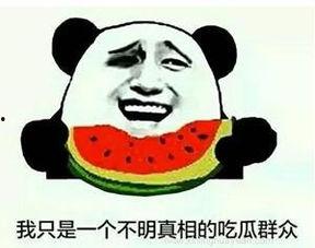 吃瓜群众惨遭打脸视频,视频揭露真相瞬间