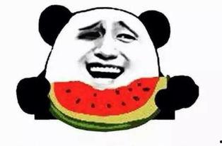 来做一个吃瓜群众的人,见证时代变迁的旁观者