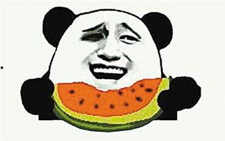 吃瓜群众画图图片素材库,趣味横生的日常生活剪影