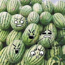 最聪明的吃瓜群众,最聪明吃瓜群众的独家视角