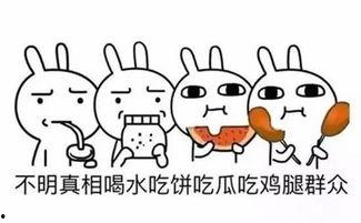 吃瓜群众关心的问题,吃瓜群众最关心的问题大揭秘