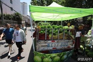 江苏徐州吃瓜群众事件,网络舆论下的社会现象解析