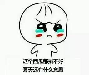 各位吃瓜群众口头禅是什么,揭秘网络热议背后的趣味心声