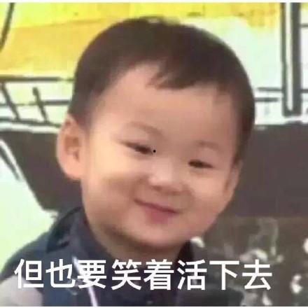 我吃瓜群众表情包,揭秘网络时代的“表情盛宴”