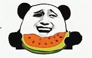 一个天天吃瓜的群众,揭秘天天吃瓜群众的幕后故事