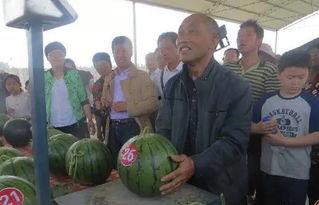 邹城兖州吃瓜群众,吃瓜群众的热议焦点